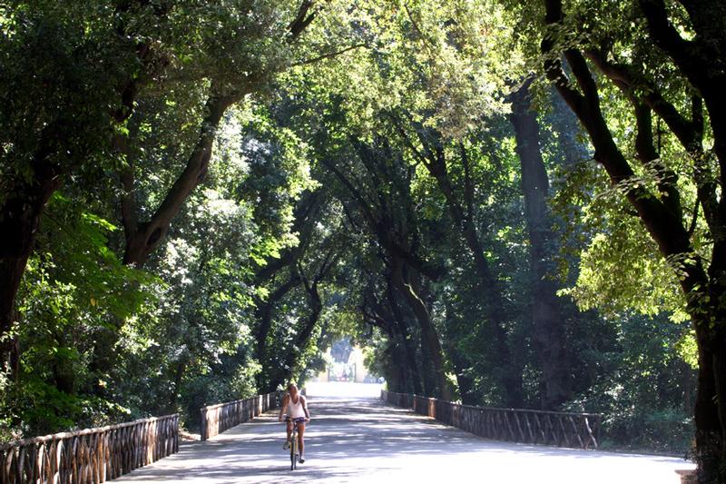 Bosco di Capodimonte