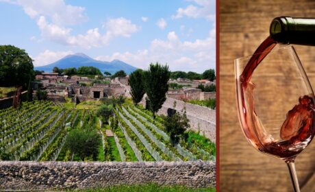 Pompei & Wine Tasting (Full-Day)
